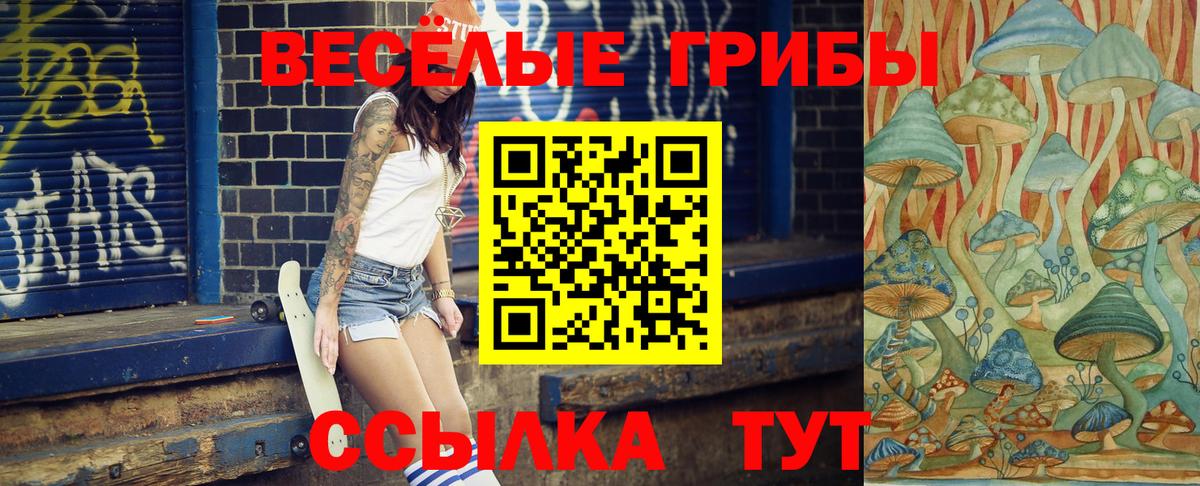 Псилоцибиновые грибы Psilocybine cubensis  Вход с VPN  Великие Луки 