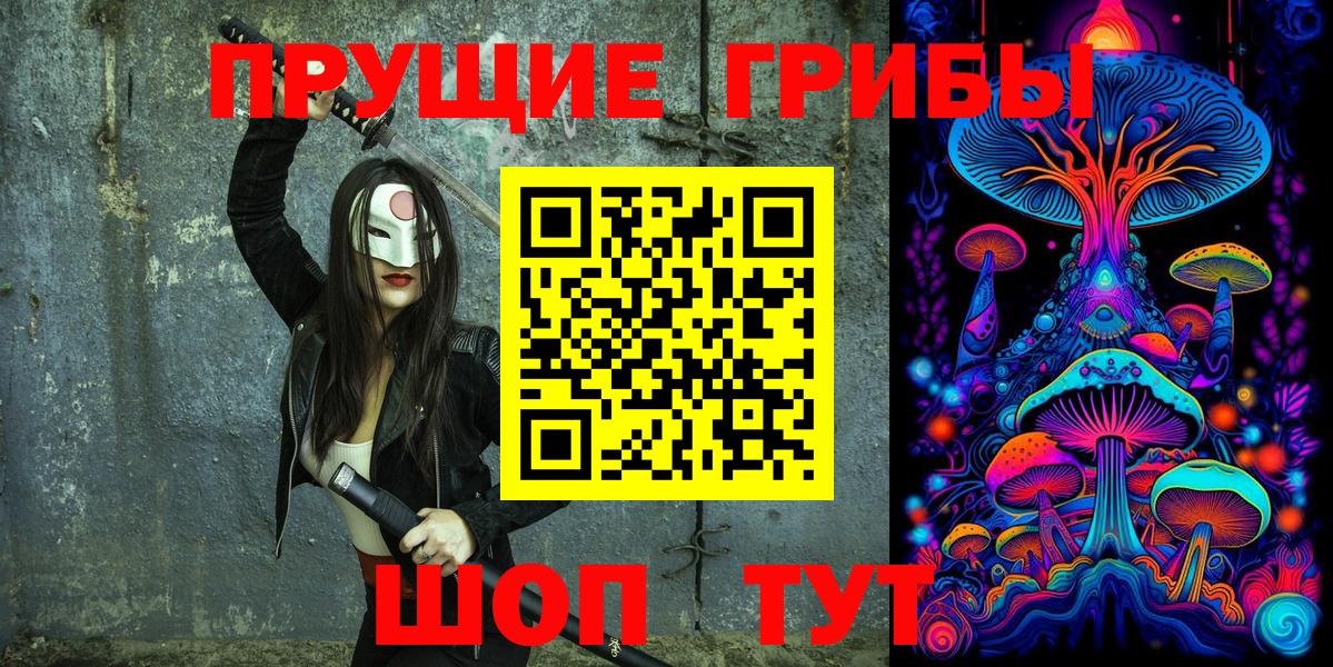 Галлюциногенные грибы Psilocybine cubensis Великие Луки